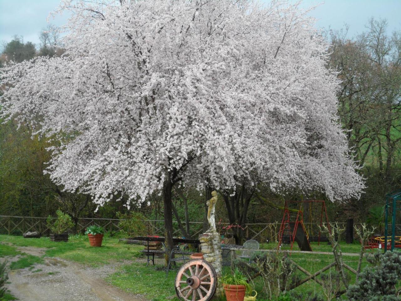 Locanda Delle Noci Perugia Esterno foto